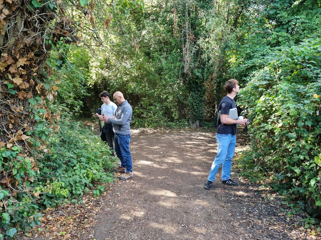 Some bramble on both sides of the path near the park entrance