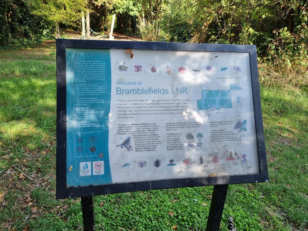 Bramblefields